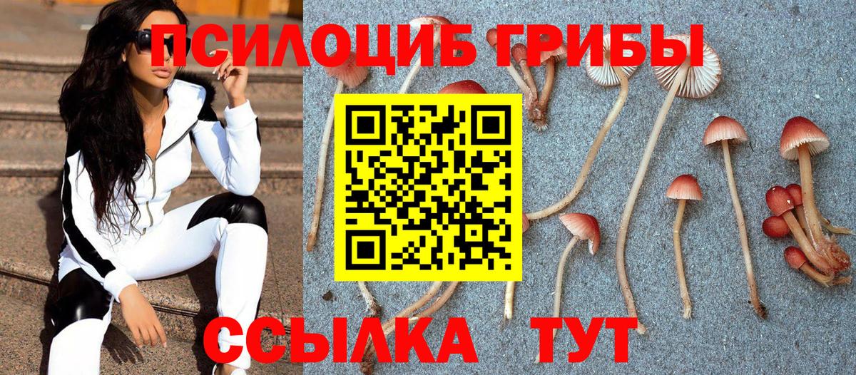 Псилоцибиновые грибы MAGIC MUSHROOMS  Галлюциногенные грибы GOLDEN TEACHER  Назарово  Вход с VPN 