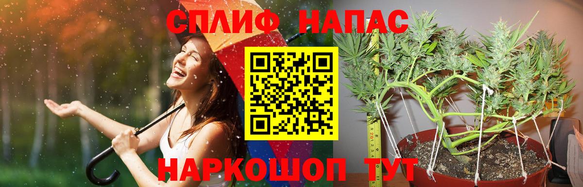 Бошки Шишки SATIVA & INDICA  Конопля план  Назарово  Каннабис план  Вход с VPN 